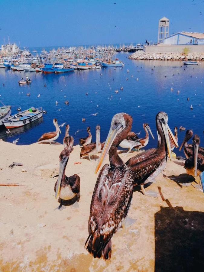 Отель Casa Талара Экстерьер фото